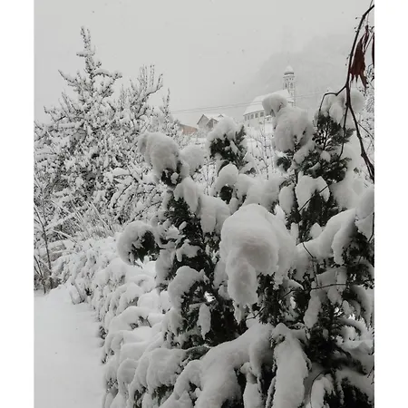 Ustria Crusch Alva *