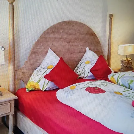 Bed & Breakfast Ustria Crusch Alva Tavanasa