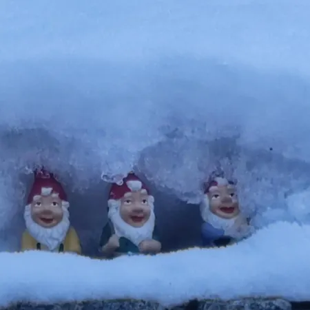 Bed & Breakfast Ustria Crusch Alva *