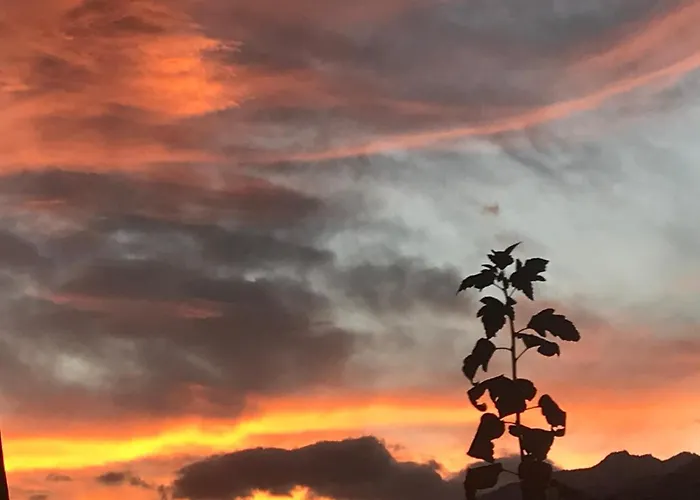 Ustria Crusch Alva * Tavanasa