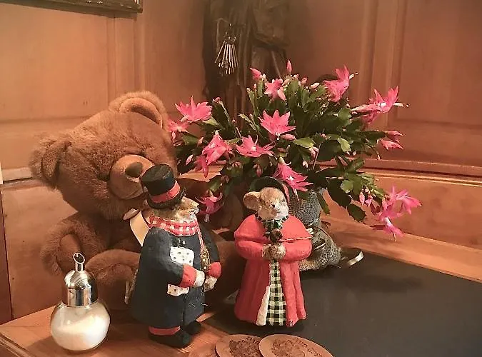 Ustria Crusch Alva Tavanasa