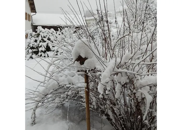 Ustria Crusch Alva Tavanasa