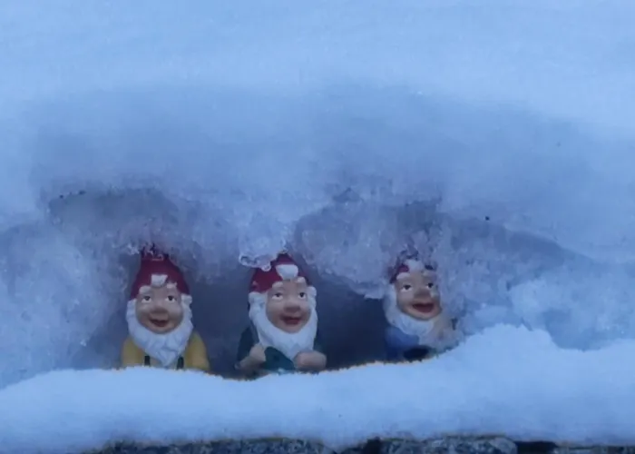 Bed & Breakfast Ustria Crusch Alva *