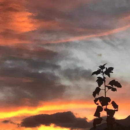 Ustria Crusch Alva * Tavanasa