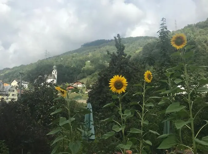 Alojamento de Acomodação e Pequeno-almoço Ustria Crusch Alva *