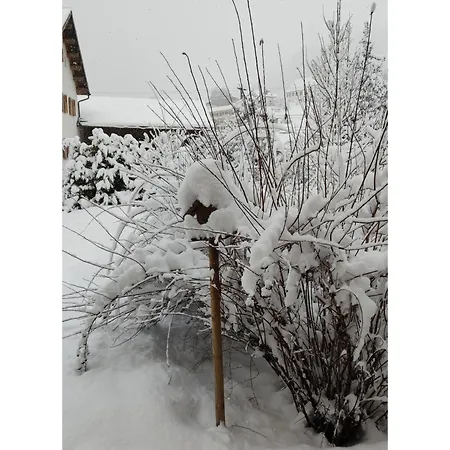 Ustria Crusch Alva Tavanasa