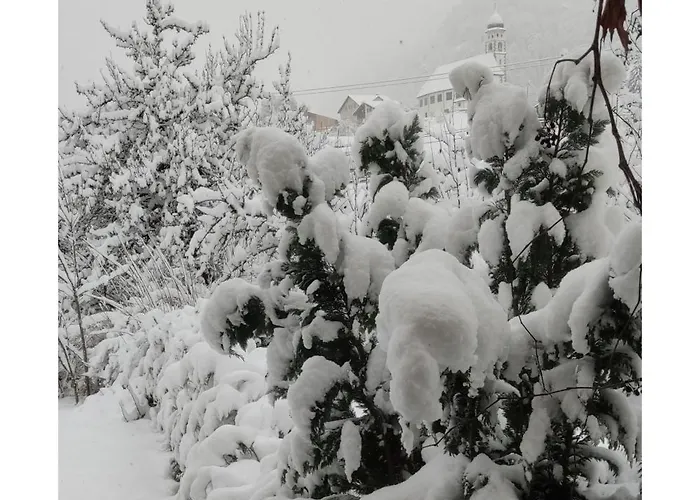 Ustria Crusch Alva *